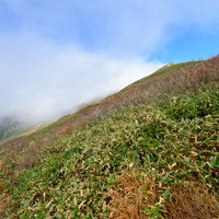 秋の谷川岳、紅葉と笹が広がる山岳風景の写真