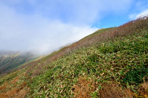 秋の谷川岳、紅葉と笹が広がる山岳風景