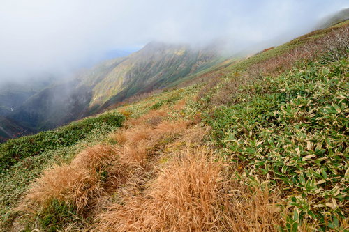 枯れ行く草木と笹が織り成す秋の谷川岳