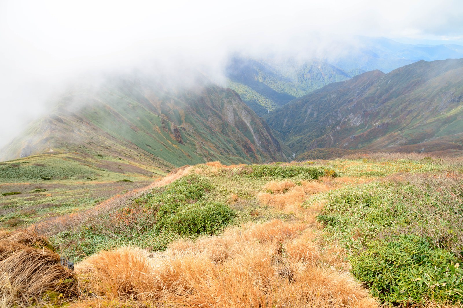 秋の谷川岳の山肌に広がる枯れ草と立ち込める霧の風景