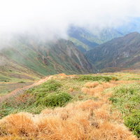 沸き立つガスに包まれた秋の谷川岳、枯れ草の山肌の写真