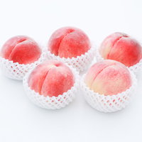 品質のいい桃（ピーチ）を白い容器に詰めたものの写真