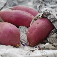 秋の味覚といえば「さつまいも」の写真