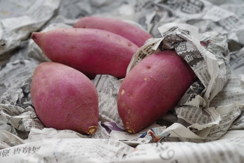 秋の味覚といえば「さつまいも」