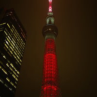 上から照明を当てたスカイツリー（赤ライトアップ）の写真