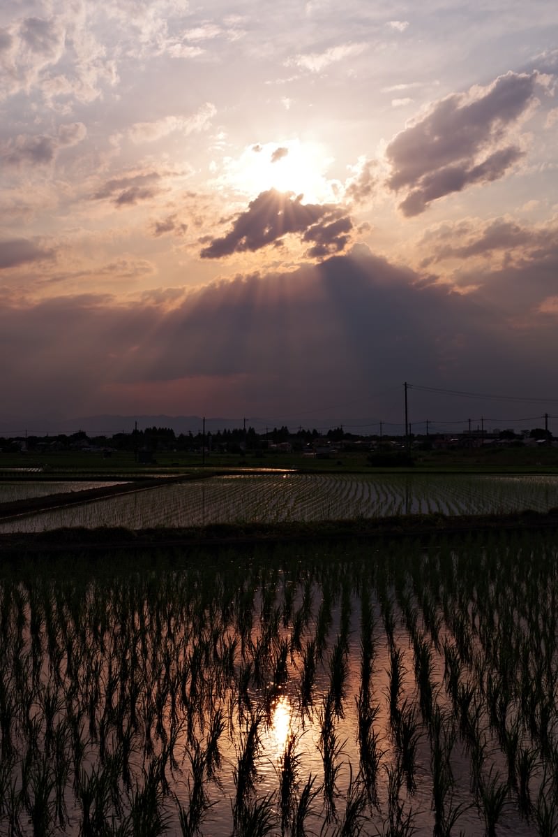 夕焼け空が反射する水を張った田んぼの風景