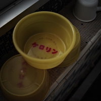 薄暗い銭湯に置かれた黄色いケロリンの風呂桶の写真