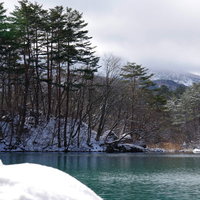 粉雪に覆われた毘沙門沼の雪景色（福島県五色沼）の写真