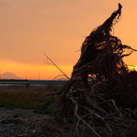 夕焼け空に映る流木と富士山のシルエットの写真