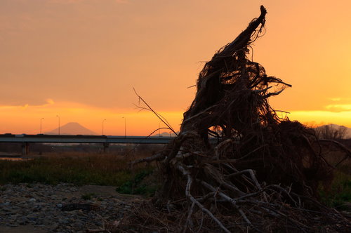 夕焼け空に映る流木と富士山のシルエット