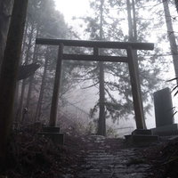 霧深い御岳山・夏の参道に立つ鳥居の写真