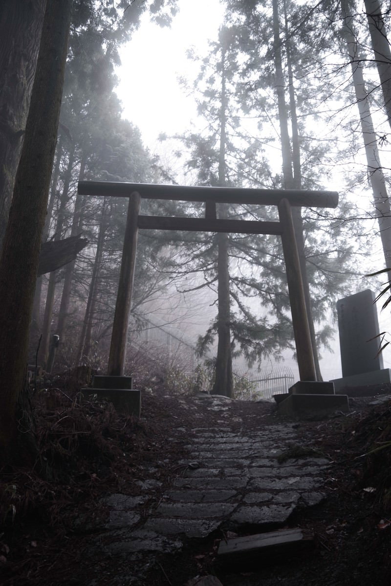霧の中に立つ御岳山の参道と鳥居