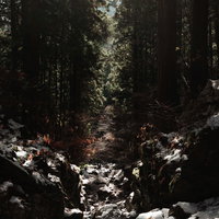 渓谷に光がさす森の中の渓流と岩場の水流風景の写真