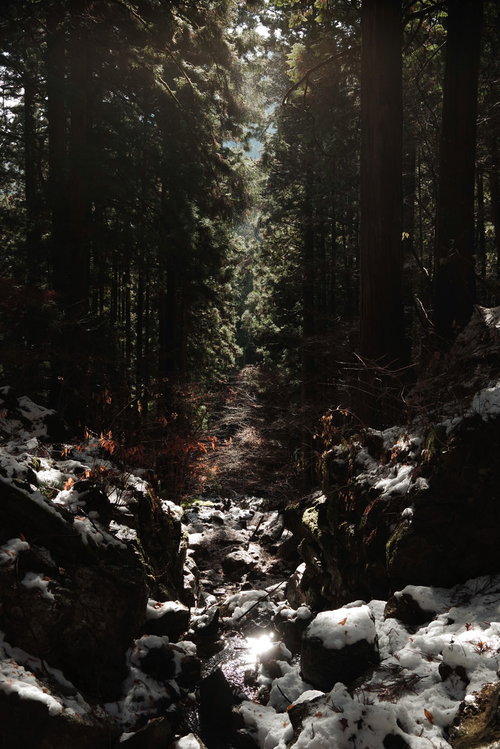 渓谷に光がさす森の中の渓流と岩場の水流風景