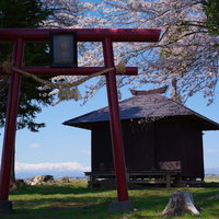 会津の飯豊連峰を背に咲く桜と赤い鳥居、茅葺き屋根の社の写真