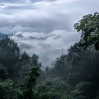 白い雲海に包まれた深緑の渓谷と森林の風景の写真