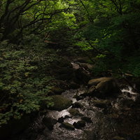 烏川橋からのあだたら渓谷の新緑の写真