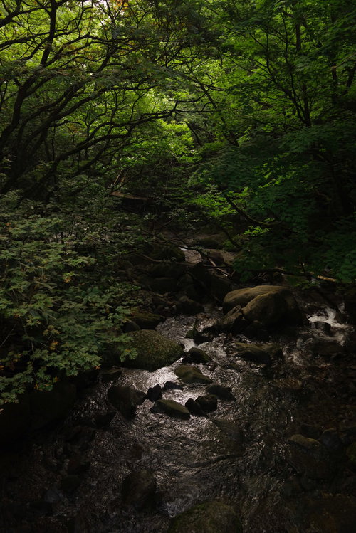 烏川橋からのあだたら渓谷の新緑
