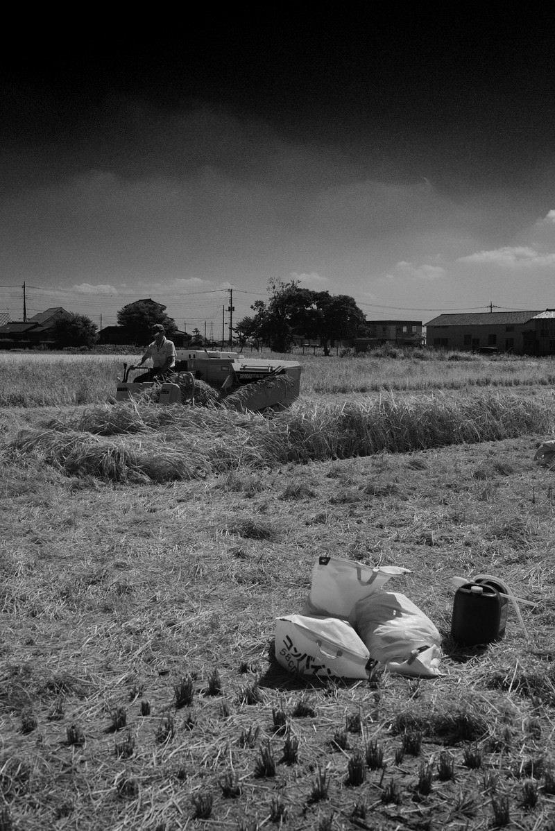 稲刈り後のモノクロの田んぼに稲束が点在し奥にトラクターがある風景