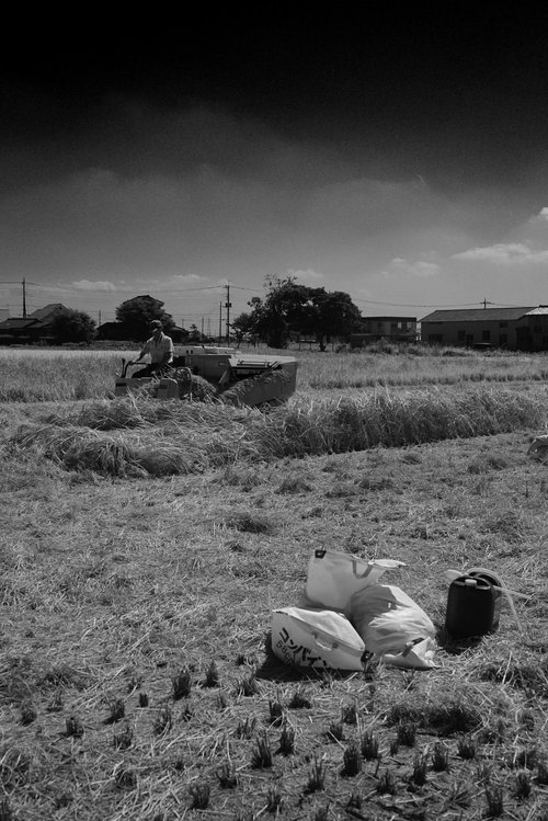 モノトーンで撮影した稲刈り後の田んぼとトラクター