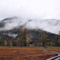 霧に包まれた至仏山と紅葉する尾瀬ヶ原の秋景色の写真