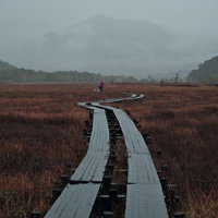 霞がかかった湿原の遊歩道と燧ヶ岳の山並みの写真