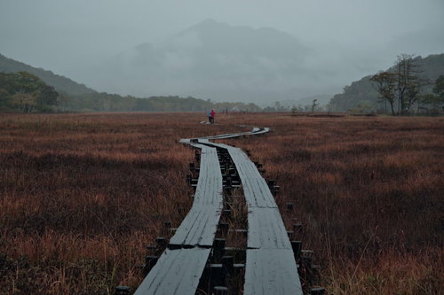 霞がかかった湿原の遊歩道と燧ヶ岳の山並み