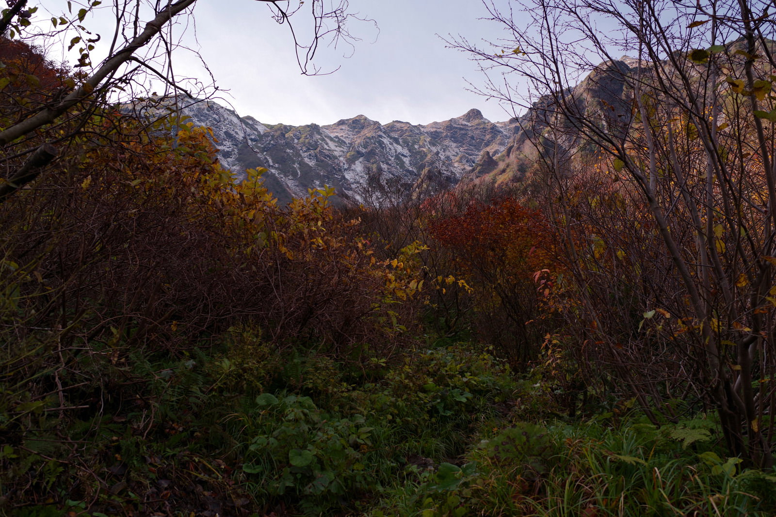 手前に紅葉した木々、奥に谷川岳の山並みが見える秋の風景