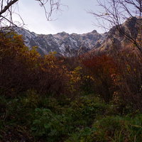谷川岳を背景に紅葉する木々の秋景色の写真