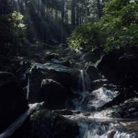 木漏れ日が差し込む渓流の沢 清流と岩肌のコントラストの写真