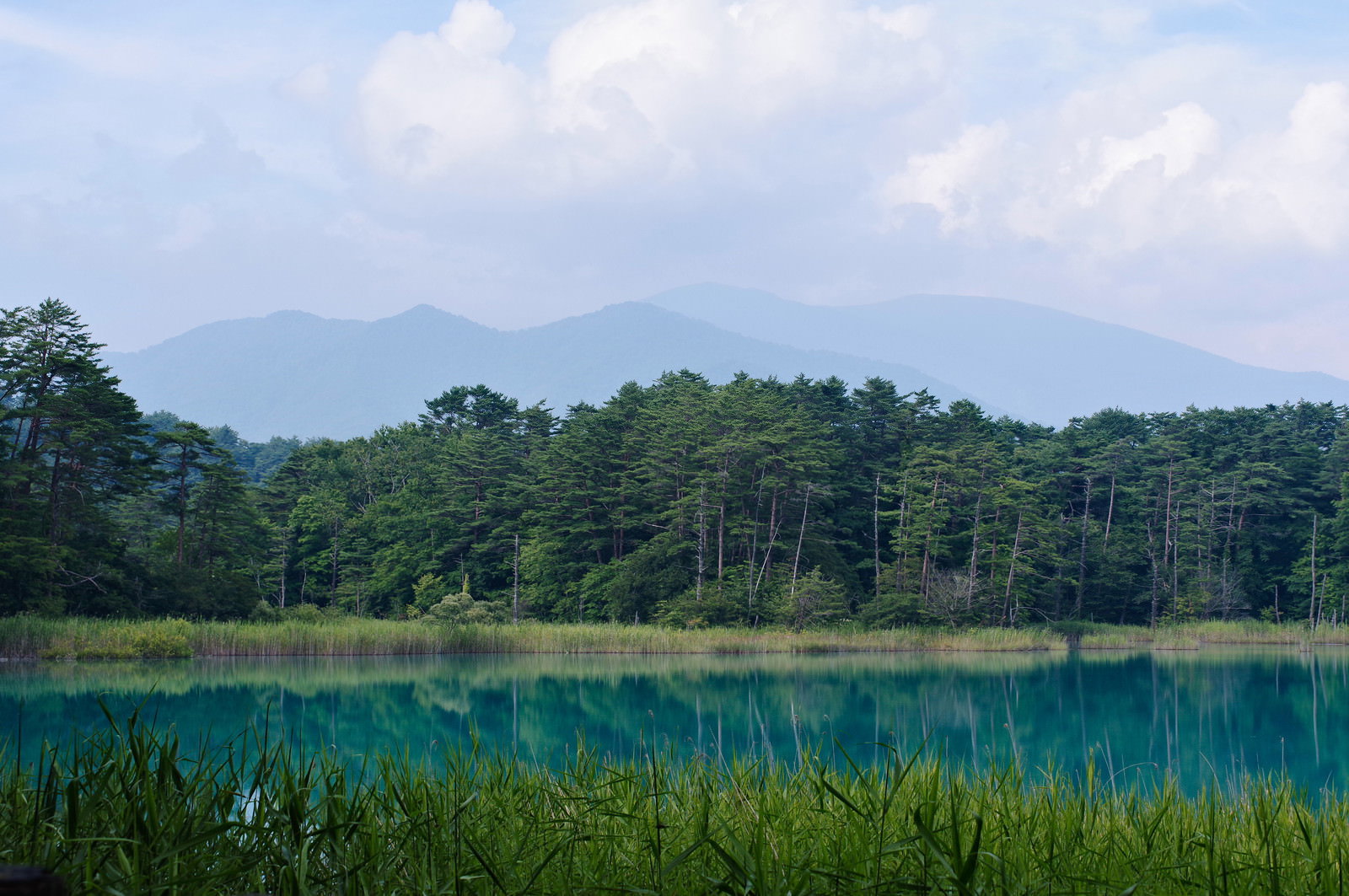 エメラルドグリーンの弁天沼に吾妻連峰が映り込む夏の風景