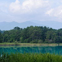 夏季の弁天沼に映り込む吾妻連峰の山々と高原の風景の写真