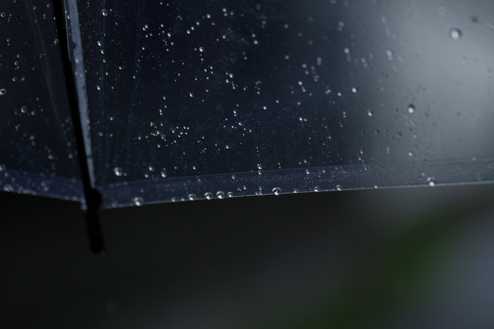 透明なビニール傘の表面に付いた雨粒と水滴