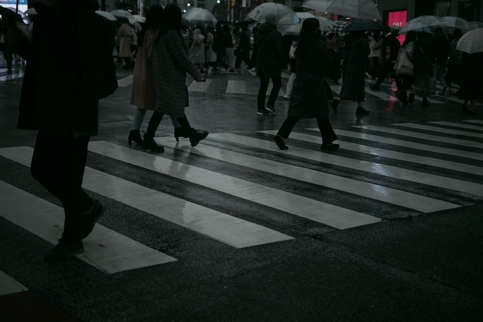 雨の日に傘を差して横断歩道を渡る大勢の人々