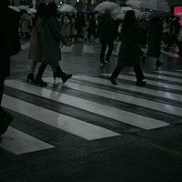 雨の日の人混みの中、傘を差して渡る横断歩道の写真