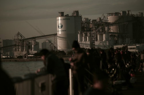 若洲海浜公園の防波堤に並ぶ釣り人たちの風景