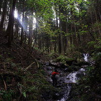 深い森の渓谷で川沿いカメラを構えて撮影するカメラマンの写真