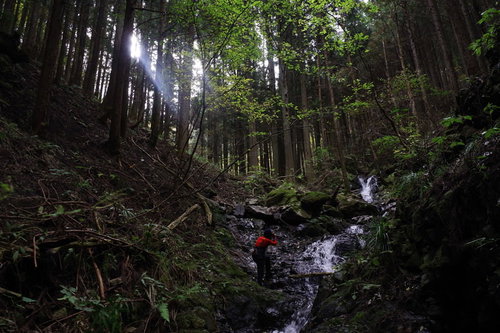 深い森の渓谷で川沿いカメラを構えて撮影するカメラマン