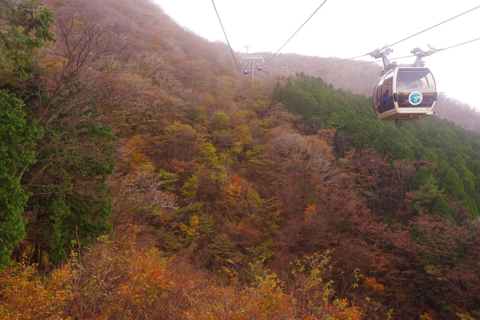 山の斜面の紅葉の中を進む白いロープウェイのゴンドラ