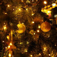 金色のオーナメントと電飾で装飾されたクリスマスツリーの写真