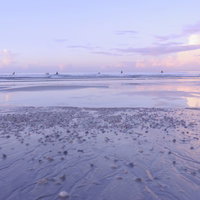 早朝から海に出るサーファー、朝焼けの砂浜の写真