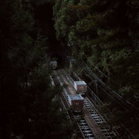 奥多摩の深い森を走るトロッコと線路の写真