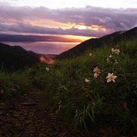 日没前の御霊櫃峠に咲くヤマユリと夕焼けの猪苗代湖の写真