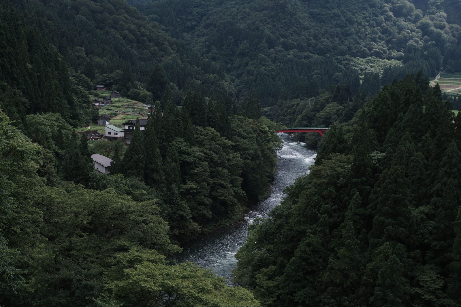 深い森に囲まれた庄川峡の渓谷を流れる河川の風景
