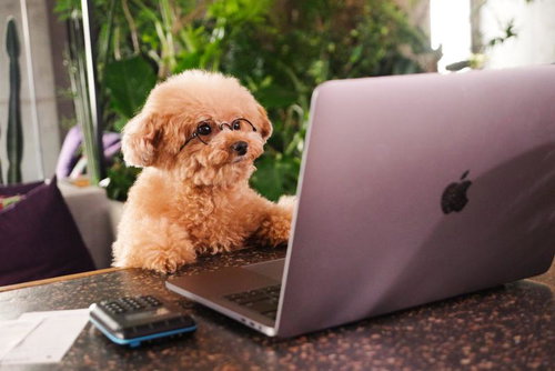 ワンチャン、俺にも就職先あるかもな