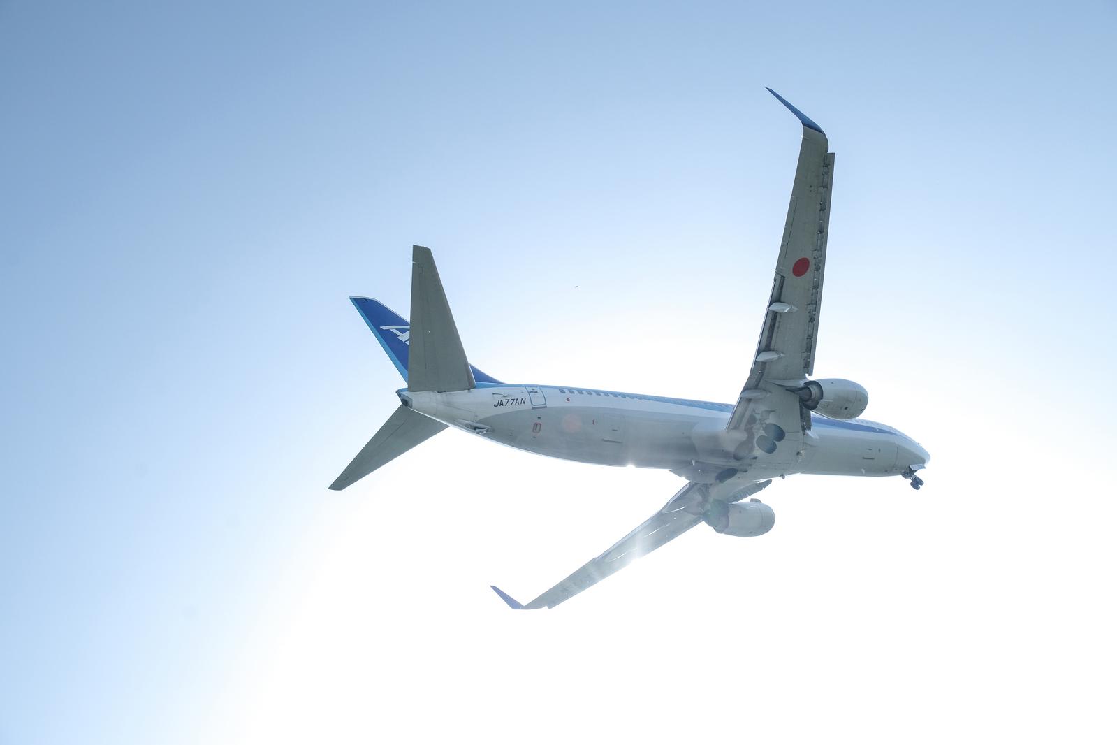 青空を背景に上昇する全日空の白い旅客機
