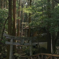 竜王峡キャンプ村の参道に立つ鳥居と木橋、苔むした石段の写真