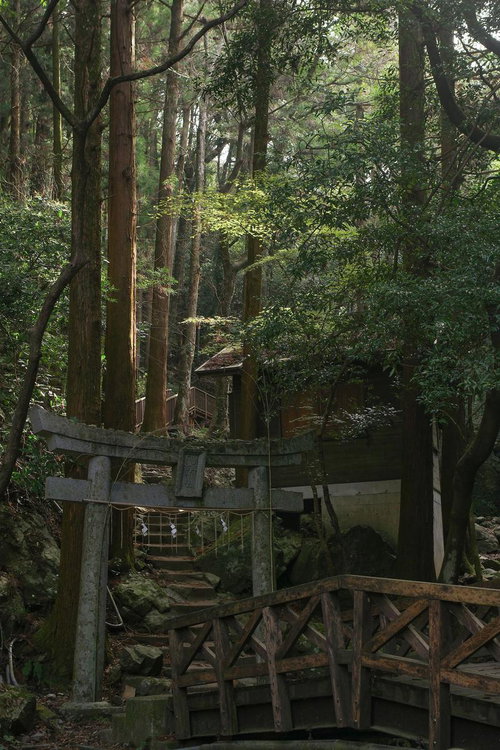 竜王峡キャンプ村の参道に立つ鳥居と木橋、苔むした石段