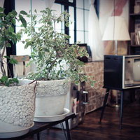 アンティーク家具と観葉植物が彩る昭和レトロな室内空間の写真