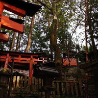 伏見稲荷大社の山の側面に立ち並ぶ鳥居とお塚群の写真